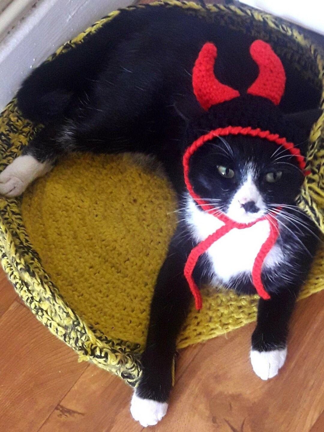 Devil Cat Hat/halloween Cat Hat/devil Hat for Cats/small Dog Hat/crochet Cat Hat/halloween