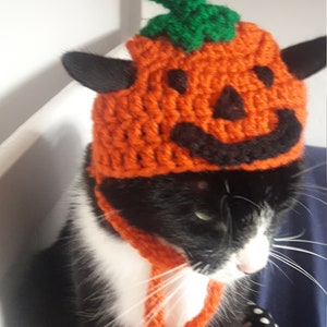 Halloween cat hat/Pumpkin Cat Hat/Small Pet hat/Halloween hat for cats/HatzenHut/Cat Wig/Halloween Cat/Free Shipping worldwide image 7