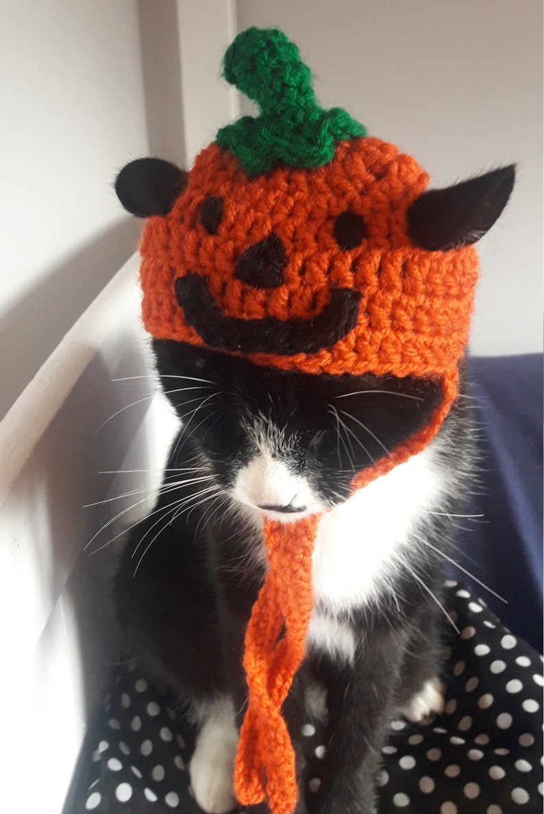 Halloween cat hat/Pumpkin Cat Hat/Small Pet hat/Halloween hat for cats/HatzenHut/Cat Wig/Halloween Cat/Free Shipping worldwide image 1