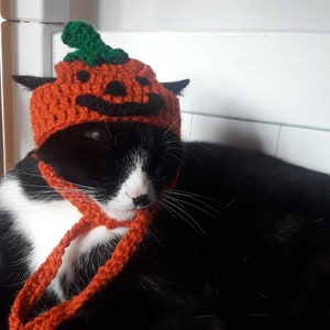 Halloween cat hat/Pumpkin Cat Hat/Small Pet hat/Halloween hat for cats/HatzenHut/Cat Wig/Halloween Cat/Free Shipping worldwide image 8