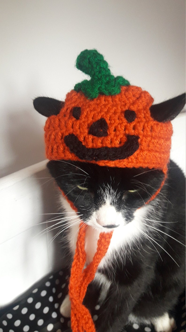 Halloween cat hat/Pumpkin Cat Hat/Small Pet hat/Halloween hat for cats/HatzenHut/Cat Wig/Halloween Cat/Free Shipping worldwide image 4