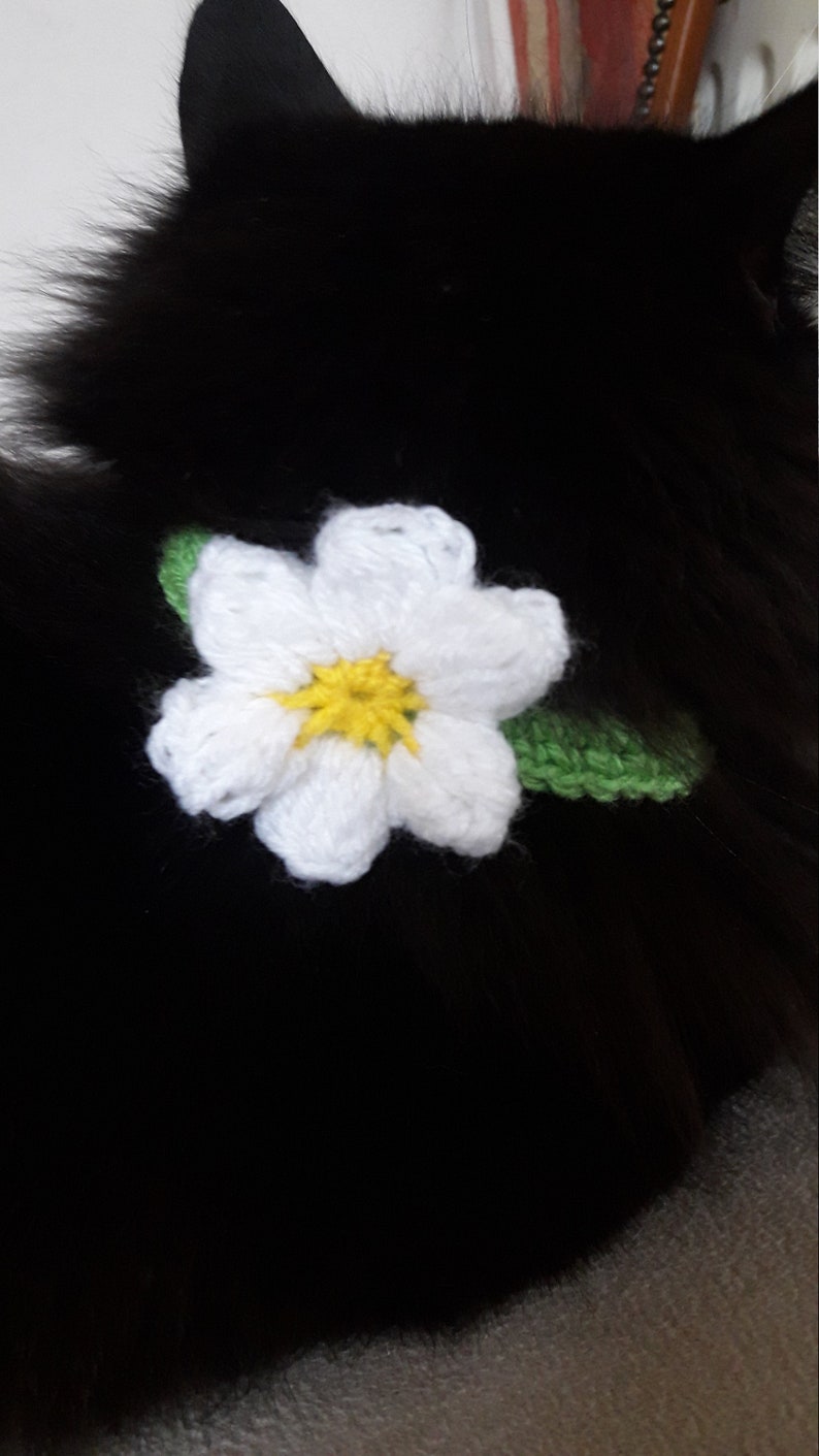 Cat collar flower/Daisy cat collar/Collar for cat/small dog collar/Pet collar/crochet collar/Pet Neckwear/Cat accessories image 4