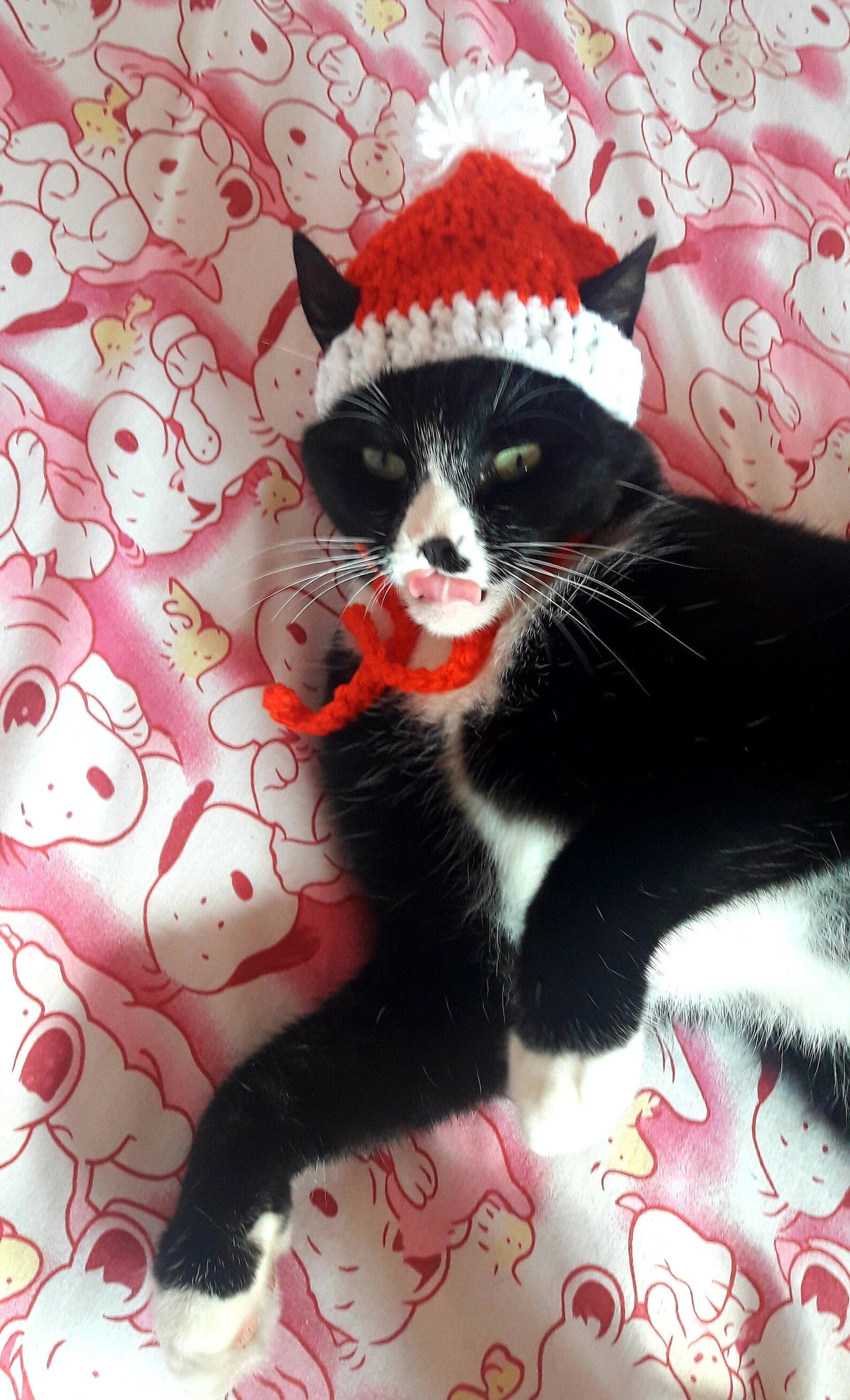 Chapeau de chat de Noël / chapeau de chat de Noël / chapeau de | Etsy Chapeau de chat de Noël / chapeau de chat de Noël / chapeau de | Etsy