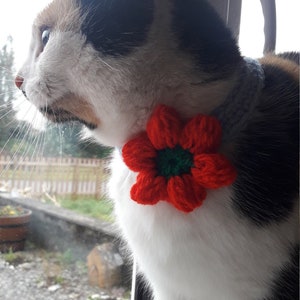 Cat collar flower/Daisy cat collar/Collar for cat/small dog collar/Pet collar/crochet collar/Pet Neckwear/Cat accessories image 5