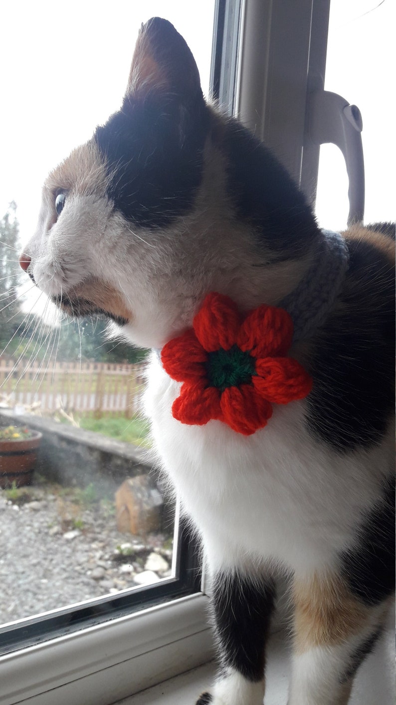 Cat collar flower/Daisy cat collar/Collar for cat/small dog collar/Pet collar/crochet collar/Pet Neckwear/Cat accessories image 5