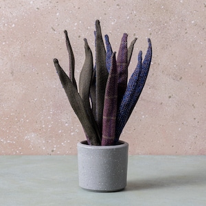 peace lily price Peace Lily – Hey Rooted main image 1