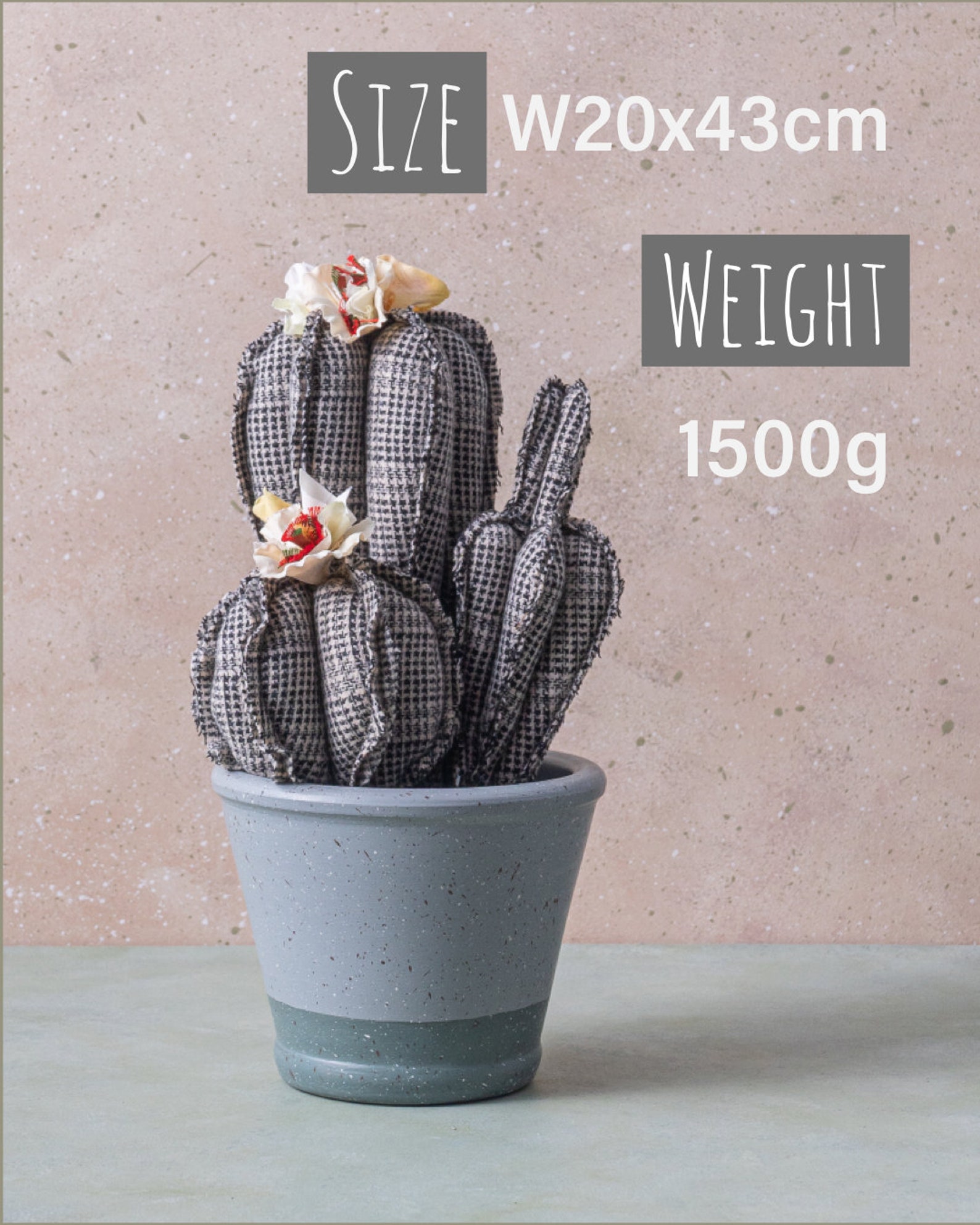 Large Cactus Plant Rare Cactus Fake Plants Plant Dad Etsy