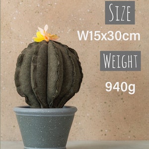 Cactus plant, Green tropical decor, Artificial plants, Rare house plants, Exotic plants, Farmhouse decor, Cottage core decor, Plant gifts image 6