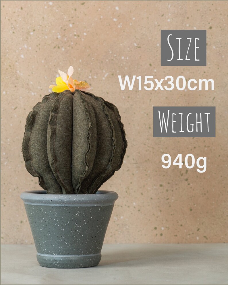 Cactus plant, Green tropical decor, Artificial plants, Rare house plants, Exotic plants, Farmhouse decor, Cottage core decor, Plant gifts zdjęcie 6