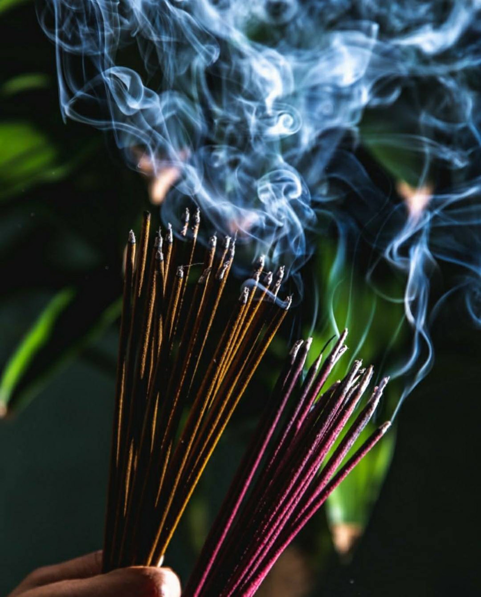 Amritha Incense Sticks From Sri Lanka. Two scents in one joss Etsy