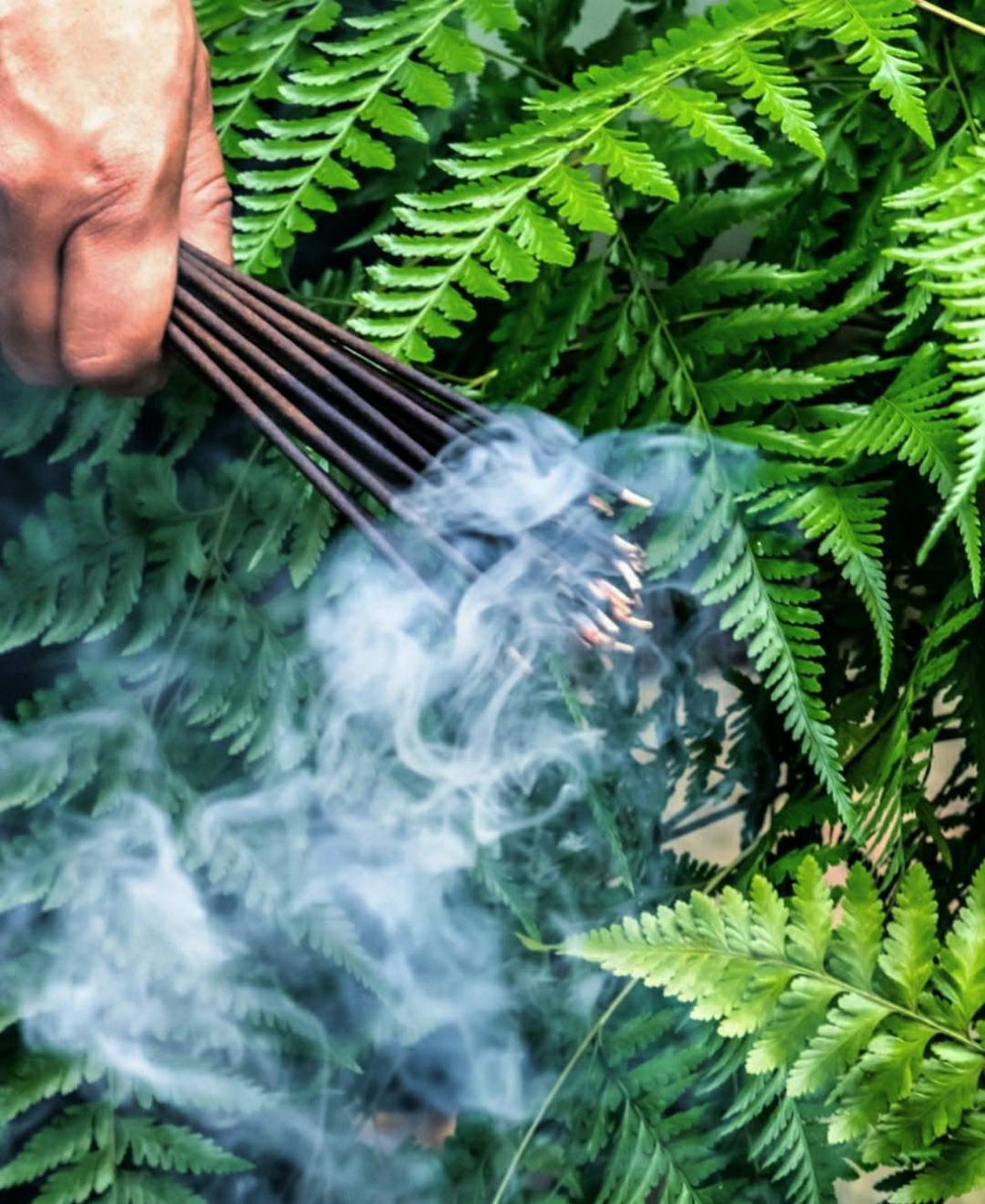 Amritha Incense Sticks From Sri Lanka. Two scents in one joss Etsy