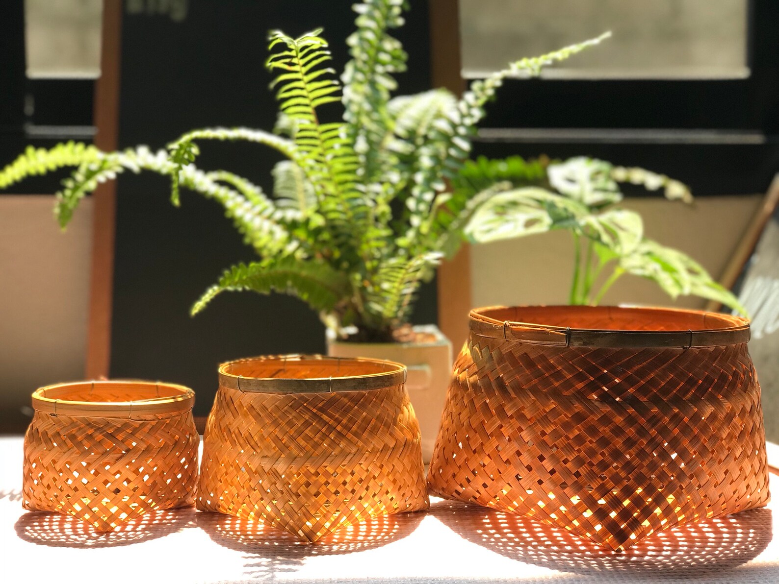 Set of 3 Natural Bamboo Plant Flower Pot L Gift Idea L Gift L Etsy