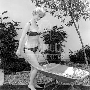 Curvy Blonde Pinup Gloria Dawn in Bikini with Wheelbarrow - Reprint from Original Ron Vogel Negative