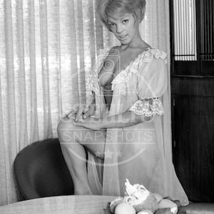 Mary Martin Topless in Sheer Gown in Vintage Kitchen  - Reprint from Original Negative