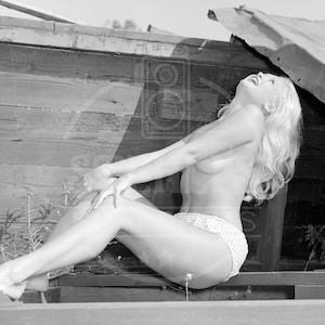 Janice Lee Country Girl Topless by Ron Vogel - 8 x 10 Reprint from Original Negative