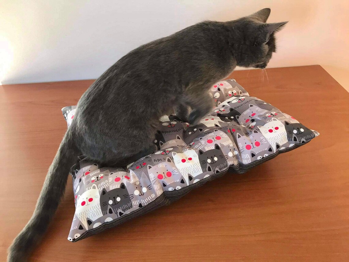 Comfortable Padded Cat Bed Soft Mattress for Cats Cat Etsy Canada