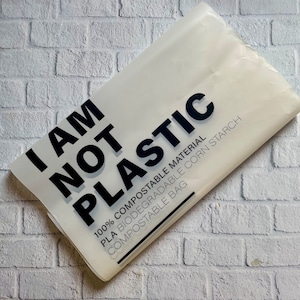 Plastikfreie kompostierbare Zip-Lock-Beutel, 25.4x35.6 cm, umweltfreundliche Aufbewahrung von Lebensmitteln, plastikfreie Sandwih-Beutel - 10 Beutelpackung