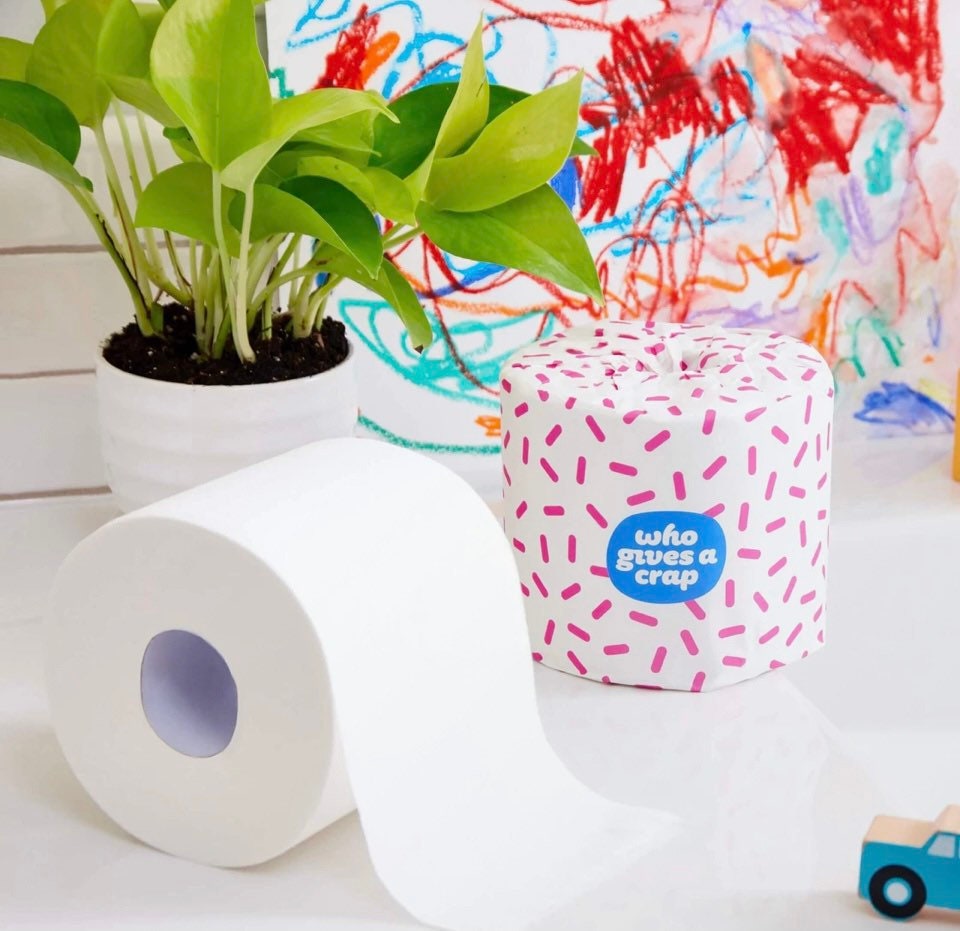 100 Recycled Toilet Rolls by Who Gives a Crap Etsy