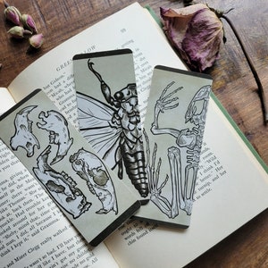 Naturalist - Bookmarks