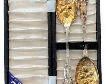Vintage Raimond Sheffield England Decorative Silverplate Serving Spoon Set Case