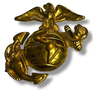 以下が含まれることがあります： 金色のエンブレム。地球儀の上にワシがとまり、錨とロープのデザインが施されています。エンブレムは詳細な3次元の外観をしており、おそらく軍事記章または装飾品です。