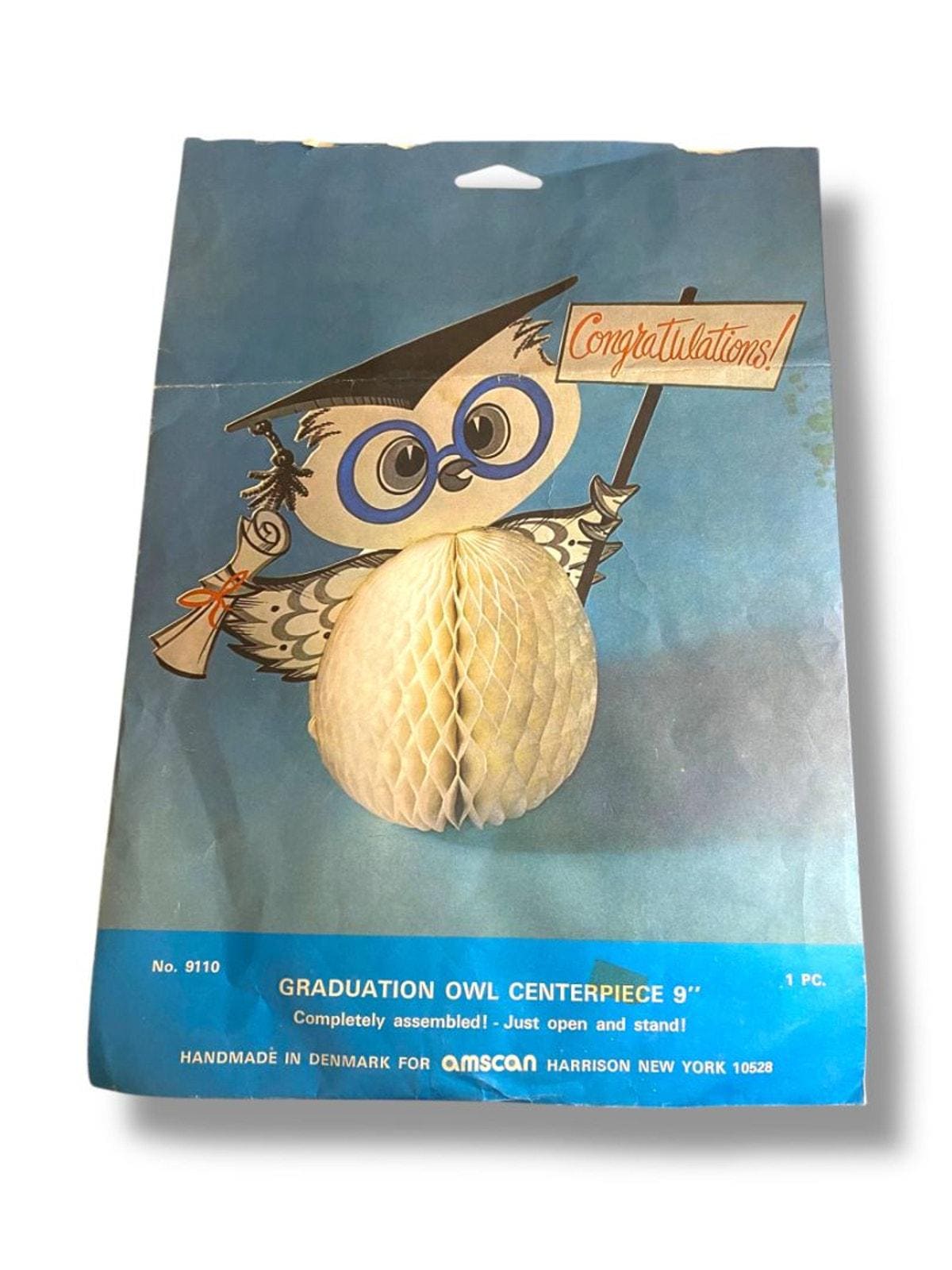 Vintage Amscan Graduation Owl Centerpiece 9" Honeycomb 9110