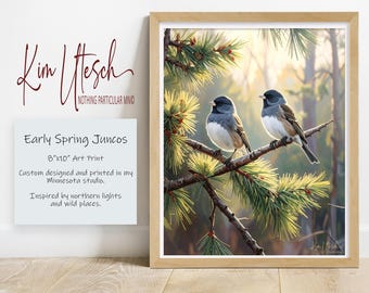 Early Spring Juncos — Little Snowbirds in the Pines. Custom Designed 8x10 Art Print.