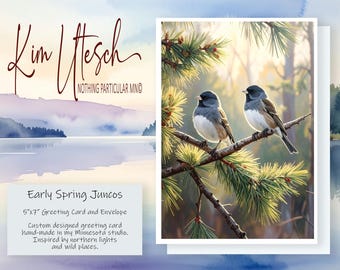 Early Spring Juncos - Little Snowbirds in the Pines. Handmade 5x7 Greeting Card.