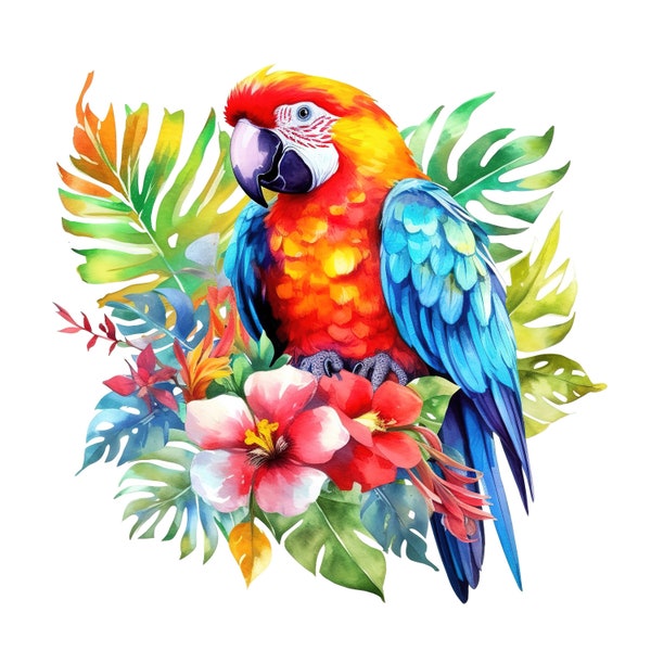 Colorful Parrot Clipart 12 High Quality JPG, Digital Download, Craft Projects Junk Journal Scrapbooking, Commercial Use