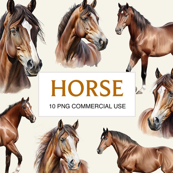 Horse Clipart 10 PNG, Commercial Use, Printable, Digital Art for Craft Projects Junk Journal Scrapbooking