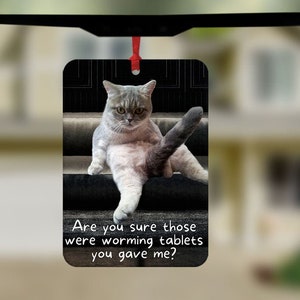 Funny Cat Car Air Freshener, Car Air Freshener, Stocking Filler,  Novelty Air Freshener,   Laugh Out Loud Gift