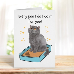 Carte drôle du chat, carte d'anniversaire drôle de blague, carte d'anniversaire, carte drôle de chat British shorthair, carte de nouveauté