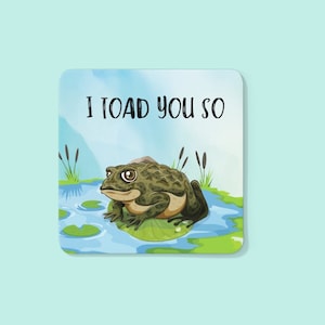 Funny Frog Coaster, Motivational Quote Coaster, Postive Thoughts Coaster, Home Office Desk Decor , Novelty  Coaster