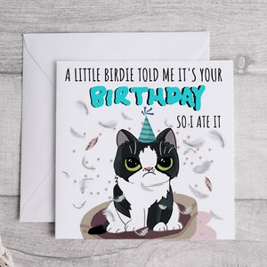 Carte d’anniversaire de chat, carte de propriétaire de chat, carte d’anniversaire drôle de chats, carte d’anniversaire drôle, carte d’anniversaire de blague de nouveauté