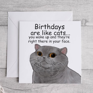 Carte d'anniversaire drôle, carte L'amour du chat, carte d'anniversaire drôle de chat, carte d'amoureux des chats, carte du chat