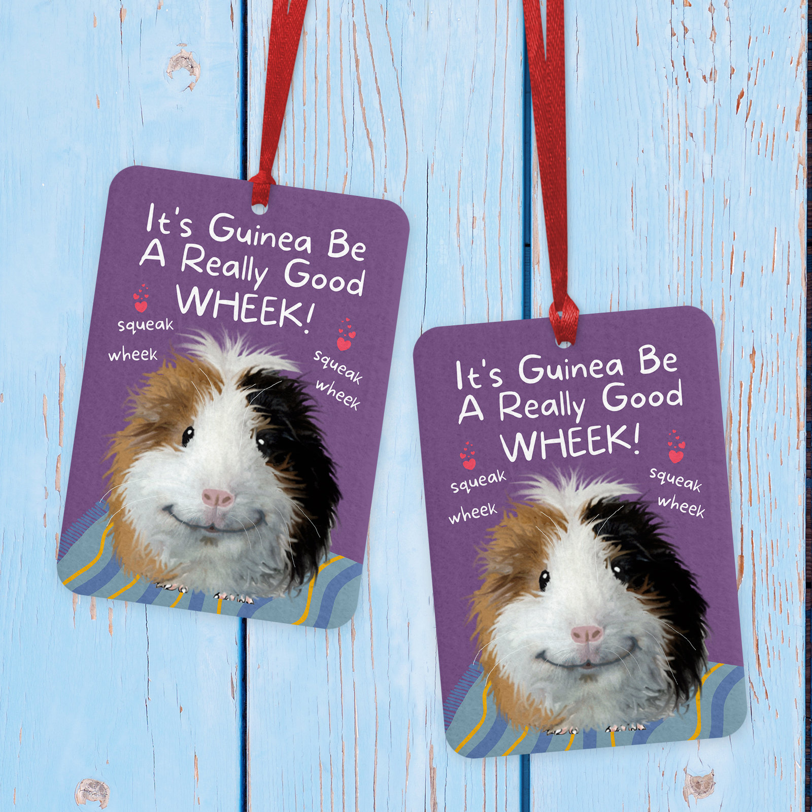 Funny Guinea Pig Car Air Freshener Novelty Freshener Guinea Etsy UK