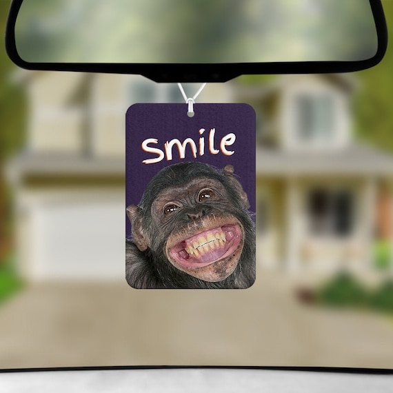 Meme monkey funny | Sticker