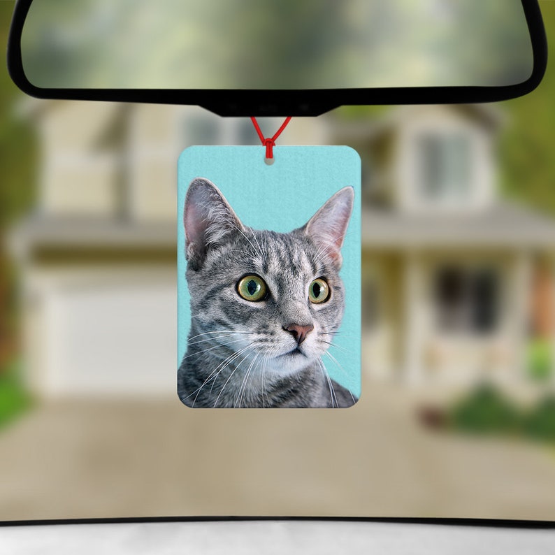 Personalized Car Air Freshener Custom Air Freshener Novelty Etsy