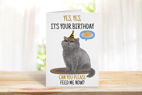 Funny Card From the Cat Funny Joke Birthday Card Birthday - Etsy New Zealand Funny Card From the Cat Funny Joke Birthday Card Birthday - Etsy New Zealand