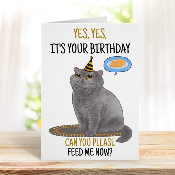 Funny Card From The Cat, Funny Joke Birthday Card,  Birthday Card , Funny British shorthair Cat Card, Novelty Card