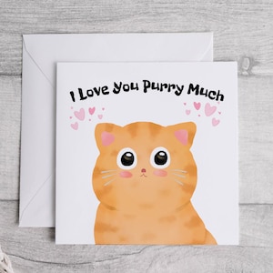Love From The Cat Card, Funny  Cat Birthday Card, Novelty Cat Lovers Card, Card From The Cat