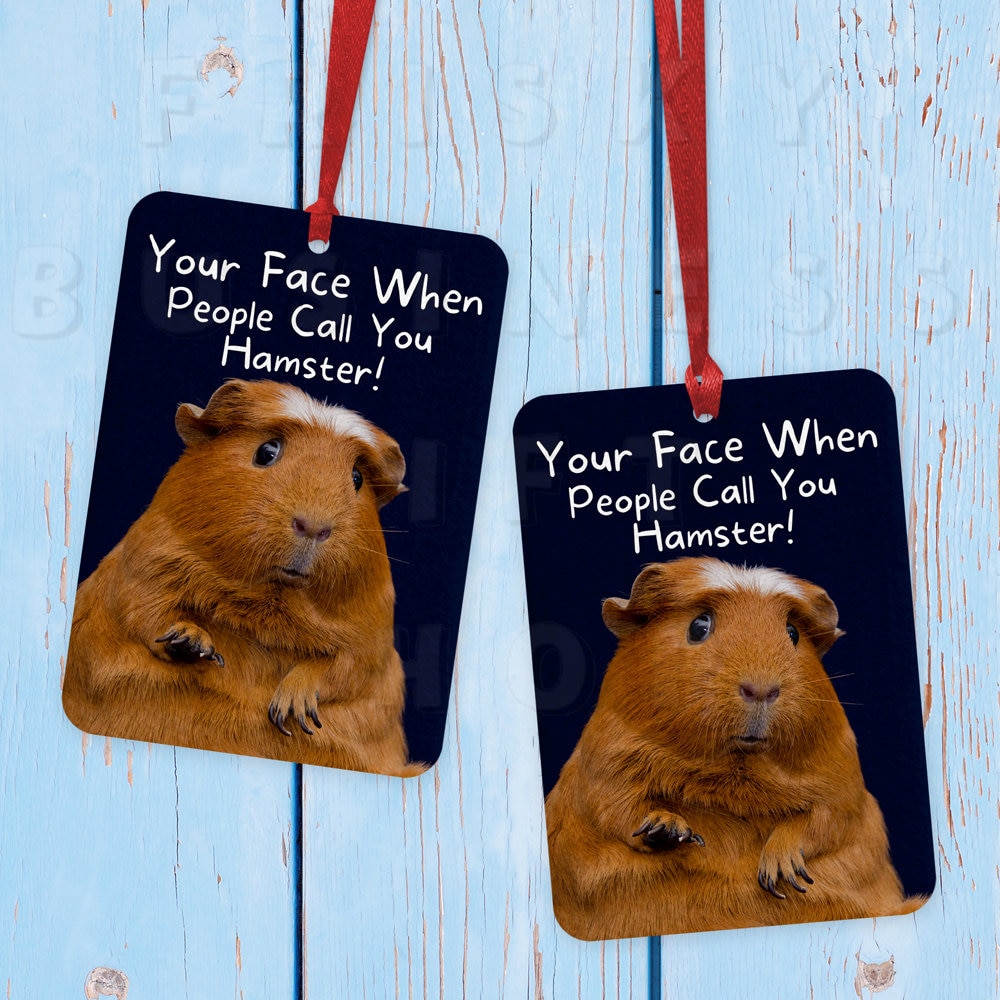 Funny Guinea Pig Car Air Freshener Funny Car Air Freshener Etsy UK