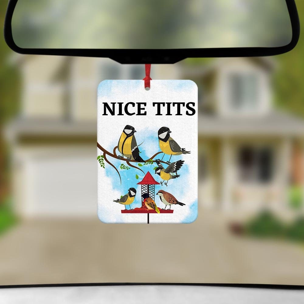 Nice Tits Funny Air Freshener Funny Air Freshener Car Air Etsy