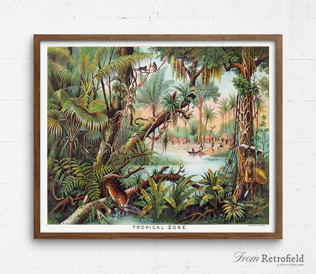 Tropical Zone Climate Print, Tribal Jungle Native America Educational Poster,  Geography Decor, Geologist School Gift, Kids Room Wall Art - Etsy