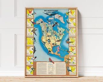 Bird Migration Map Print, North America Poster, Vintage Ornithology Wall Art, Educational Decor, Avian Route Chart, Classroom Library Gift