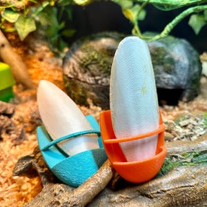 May include: Two cuttlebone holders, one teal and one orange, each holding a white cuttlebone. The holders are on a piece of wood, with a background of greenery and wood shavings. The cuttlebone is a natural calcium source for birds.