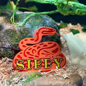 May include: An orange and red snake-shaped decoration with the name "SIBBY" in yellow letters. The decoration is placed on a bed of wood shavings, with a rock and green foliage in the background.