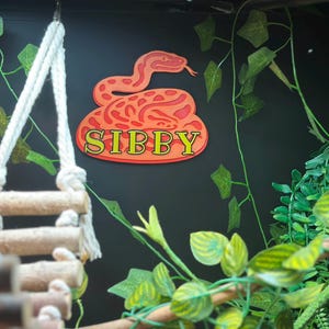 May include: A decorative sign featuring a stylized orange snake with red details and the name "SIBBY" in yellow letters. The sign is mounted on a dark background with artificial greenery and a rope ladder.