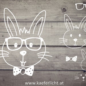 May include: A white outline drawing of a bunny wearing glasses and a bow tie on a wood background. The bunny is drawn with a simple, whimsical style. The text "www.kaeferlicht.at" is at the bottom of the image.