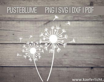 Dandelion SVG PNG Dxf Pdf Vector Cricut Brother Canvas Silhouette Digital Download Plotting Bundle